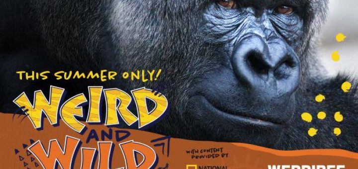 Weird and Wild school holidays melbourne