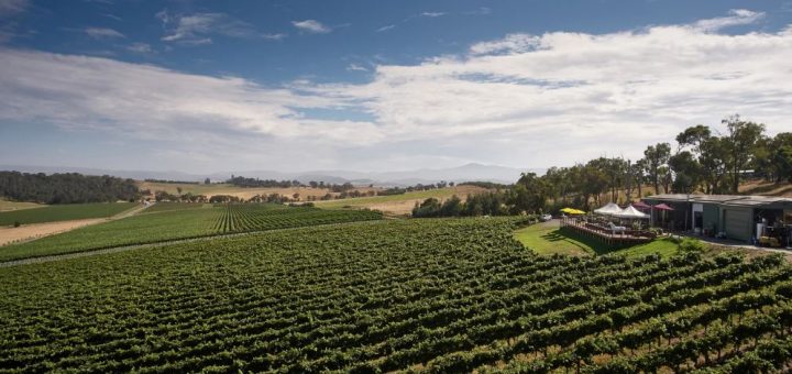 Things to do in Yarra Valley - Day trip from Melbourne