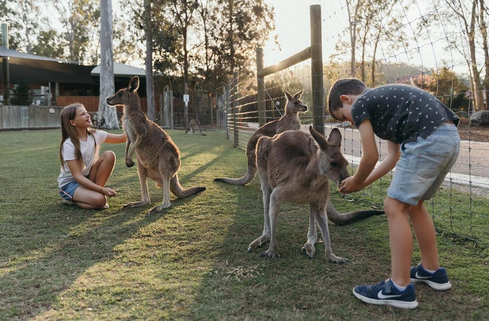 Paradise Country Farmstay Family Accommodation Gold Coast