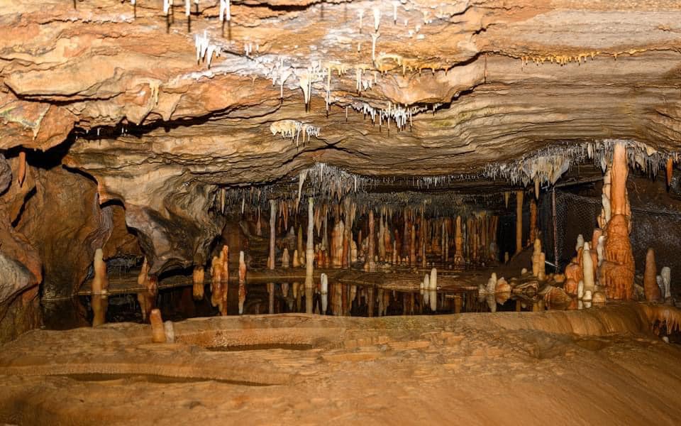 Buchan Caves Things to do Lakes Entrance