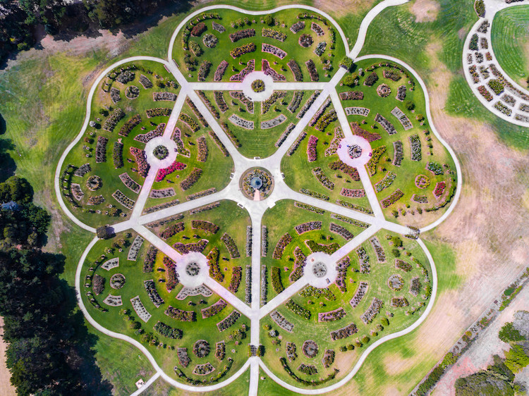state rose and garden show above view