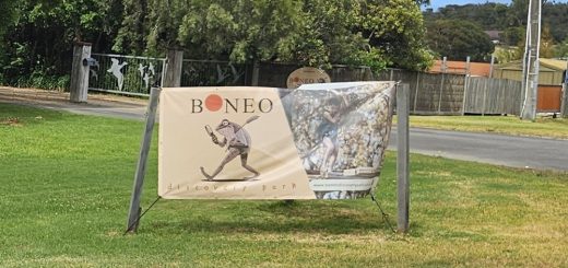 Boneo Discovery Park Entry