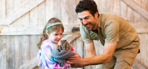 Reptile Encounters Burwood 2025 Main