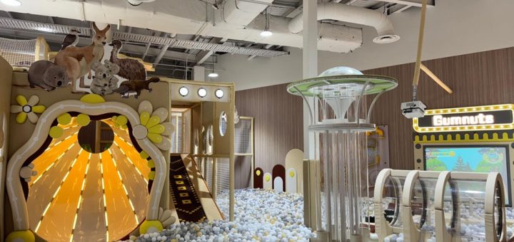 Gumnuts Playland Westfield Knox Ball Pit