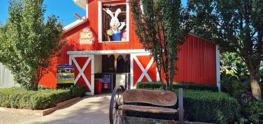 The Big Goose Adventure Farm Yard